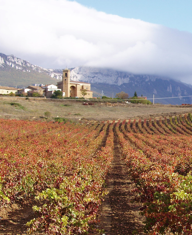 Marcos Eguren y el mundo mágico de sus vinos: 2ª Entrevista a Personajes del Vino