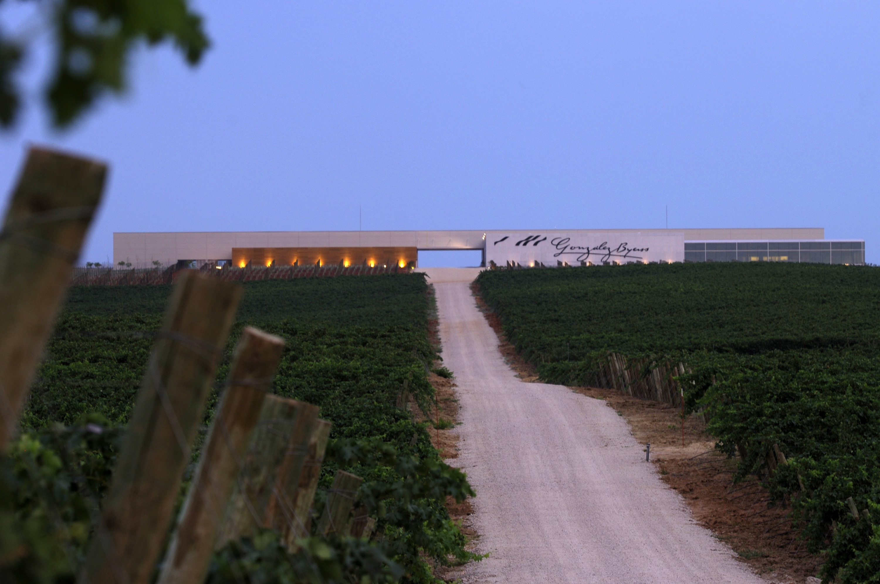 Sostenibilidad, Gozález Byass Cuidando el Planeta