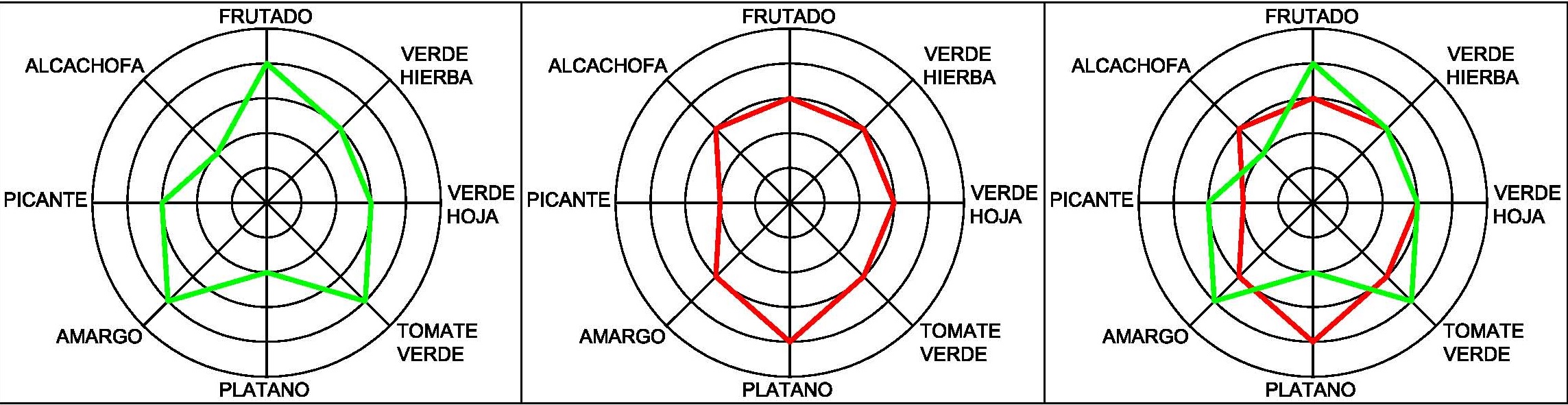 Seguimos en la picota: Nueva cata del grupo Catacaldos de la Mancha, esta vez va de aceites