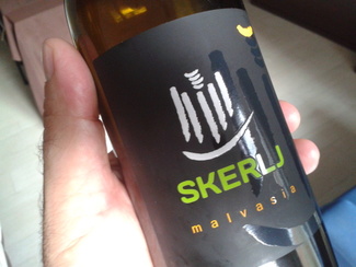 Skerlj 2011