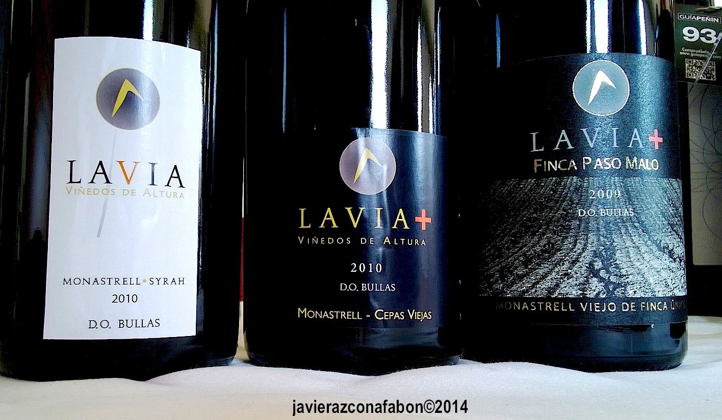 XV Salón de los mejores vinos de España