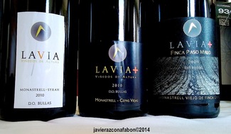 XV Salón de los mejores vinos de España