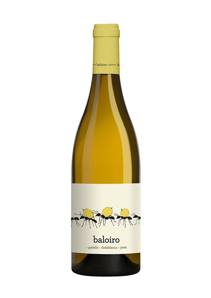 Bodega Luzdivina Amigo lanza hoy 20 de octubre, su vino cosecha 2014 D.O.Bierzo 