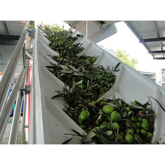 Elaboración de Dama de Elaia