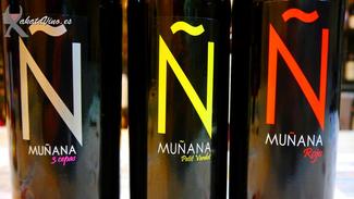 Muñana Petit Verdot 2009 90.5 puntos
