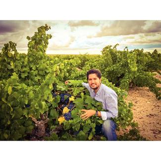 Recolección Bodega Rejadorada