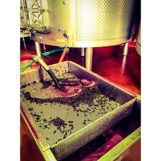 Producción Bodega Rejadorada