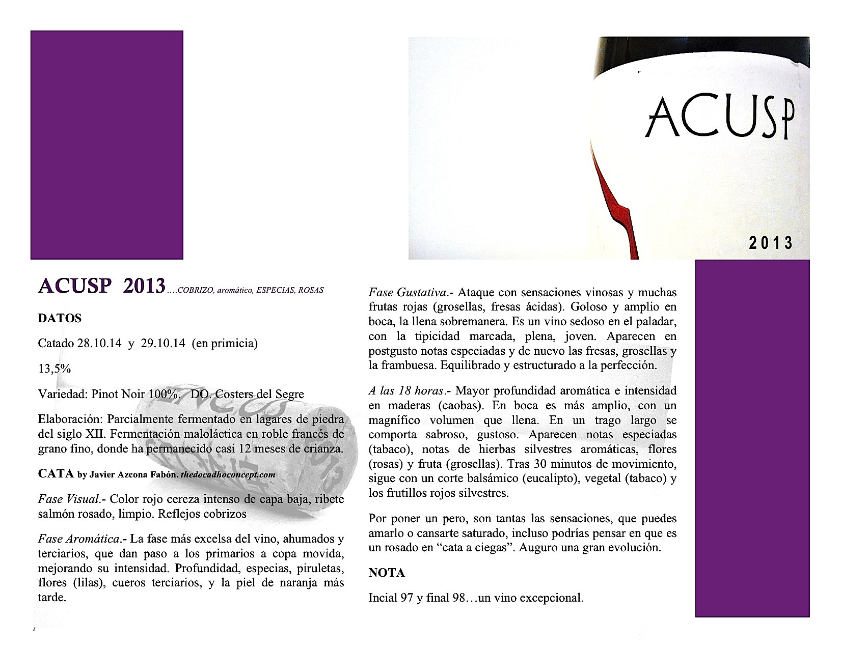 Pinot Noir del futuro. Frío y tempano de hielo sobre lagares de piedra en Costers del Segre