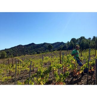 Viñedos de Solà d´Ares