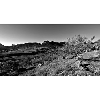 Paisaje de bodega Solà d´Ares