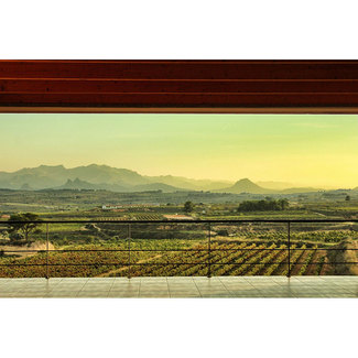 Vistas al viñedo