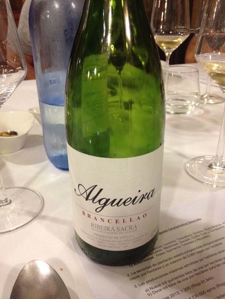 Un trocito de la Ribeira Sacra