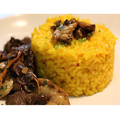 Mejores recetas con setas según foreros de Verema