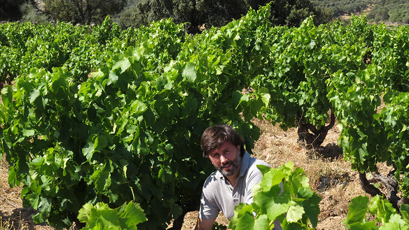 José Benavides Jiménez-Landi: con Méntrida y Gredos corriendo por sus venas