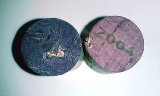 2004 vs. 2010