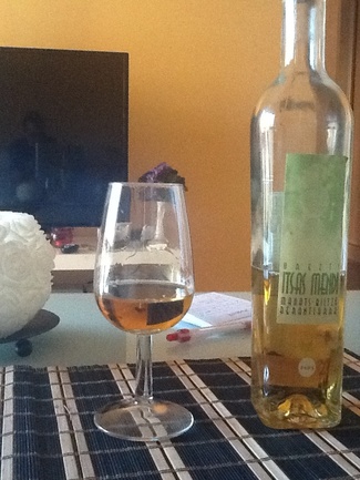 Itsasmendi Urezti 2005