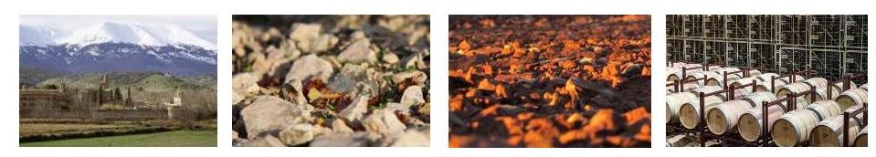 Borsao Tres Picos 2013: mejor vino calidad-precio del 2014 por Robert Parker