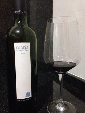 Alonso del Yerro Maria 2010