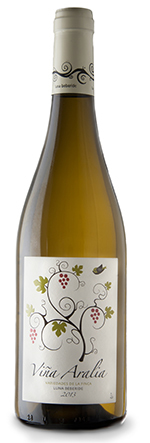 Viña Aralia 2013