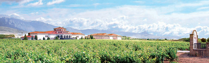 Bodegas Campillo recibe la calificación de excepcionales para dos de sus mejores caldos