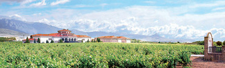 Bodegas Campillo recibe la calificación de excepcionales para dos de sus mejores caldos