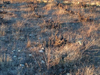 Mucho trabajo me espera