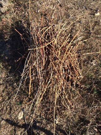 Sarmientos para los chuletones