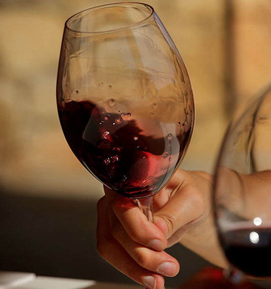 Agrohorizonte 2020: El Sector del Vino es clave en Castilla y Léon