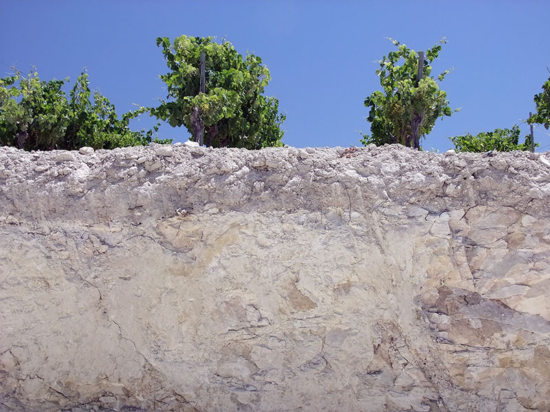 Ramiro Ibáñez y el Marco de Jerez: La revolución discreta