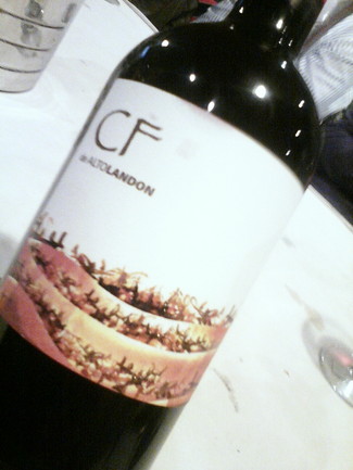 CF de Alto Landón 2010