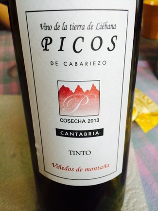 Picos de Cabariezo 2013
