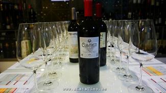 Culmen Reserva 2007. Las piezas empiezan a encajar. Se postula con grandeza.