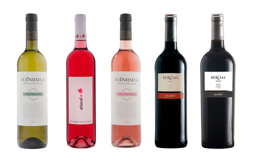 Estos son los 5 vinos que representarán a la D.O. Utiel-Requena en el año 2015 