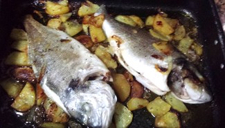 Las doradas recien salidas del horno...