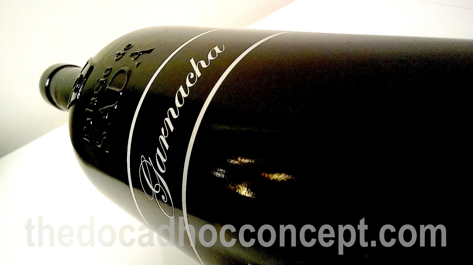 Palacio de Sada. Navarra y sus garnachas centenarias con certificado médico