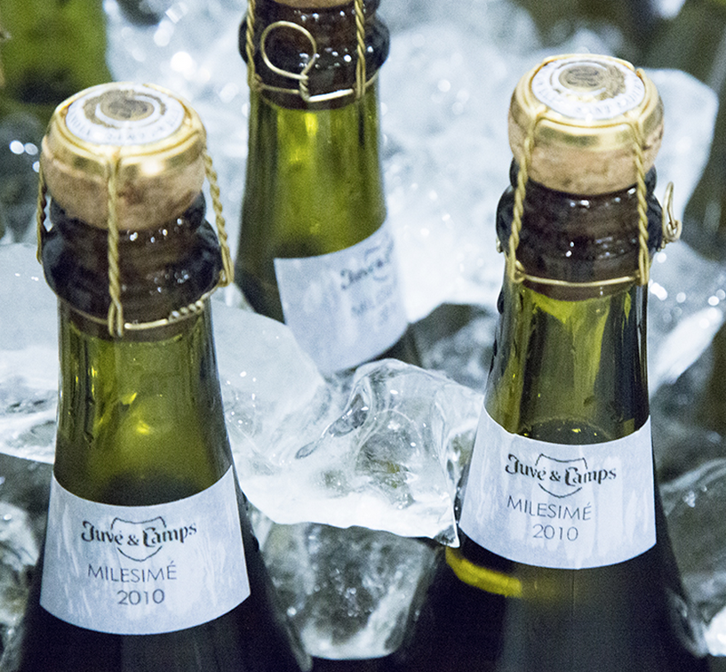 Juvé&Camps: Nuestros viñedos y su huella en el tiempo. Maridaje de texturas Juvé&Camps - Imperia.