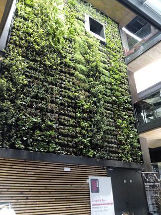Restaurante Mercado de San Agustín en Toledo