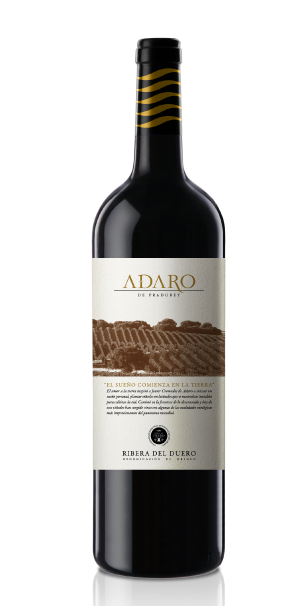 Adaro 2010