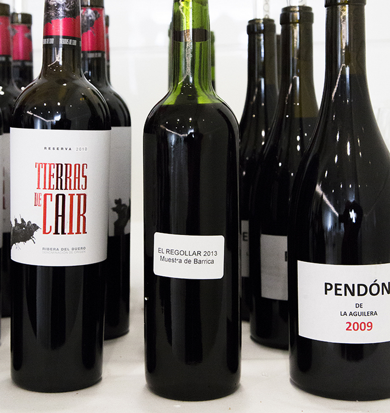 Pasado, presente y futuro de la Familia Luis Cañas en la XIV Experiencia Verema Valencia