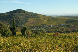 Lagar Blanco paisaje