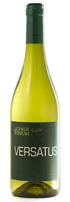 Versatus 2013