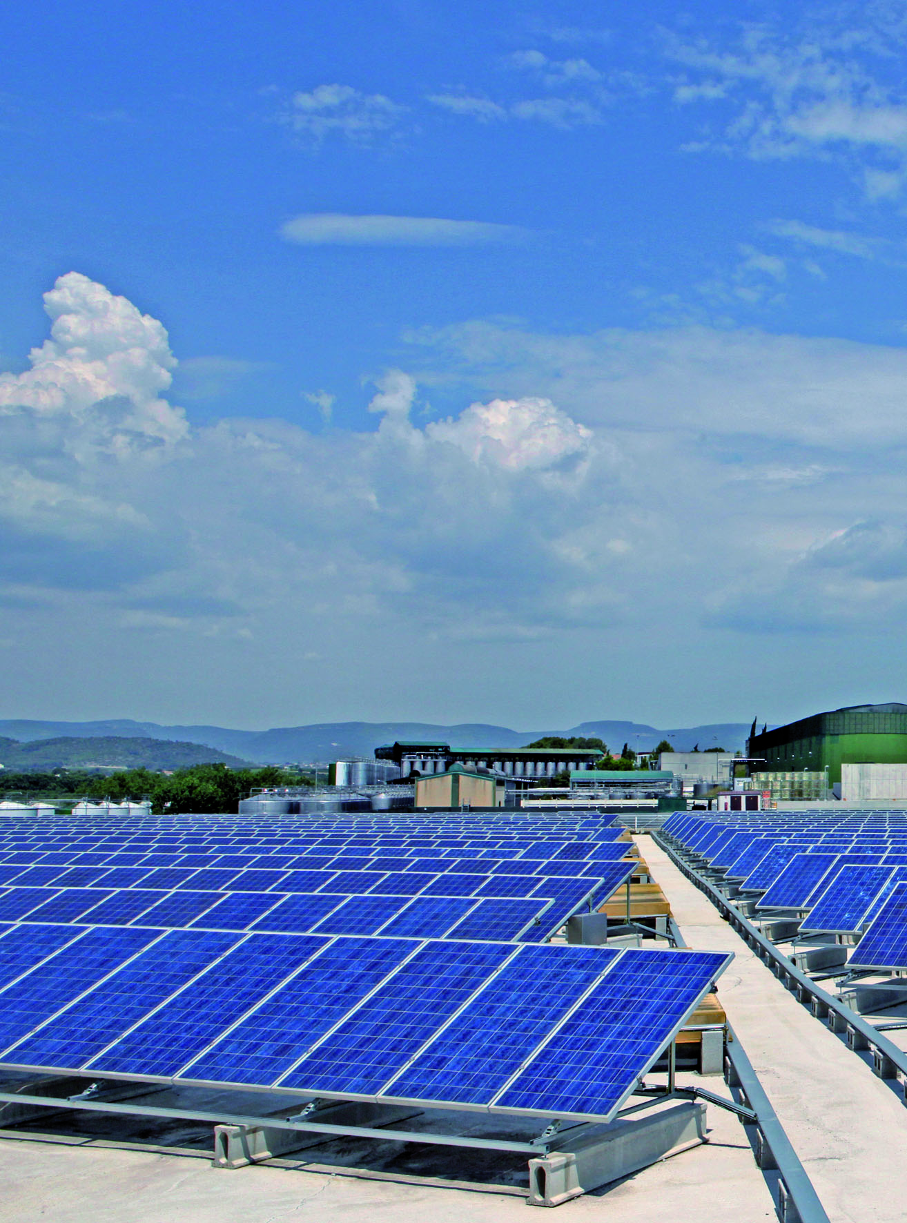 Bodegas Torres recibe un premio internacional por su dedicación a las energías renovables 