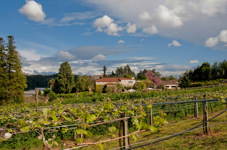 Pazo de Señorans cumple 25 años con un nuevo albariño