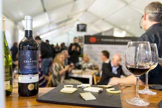 Torres Experience, llega a Valencia la mayor cita vinícola de Bodegas Torres