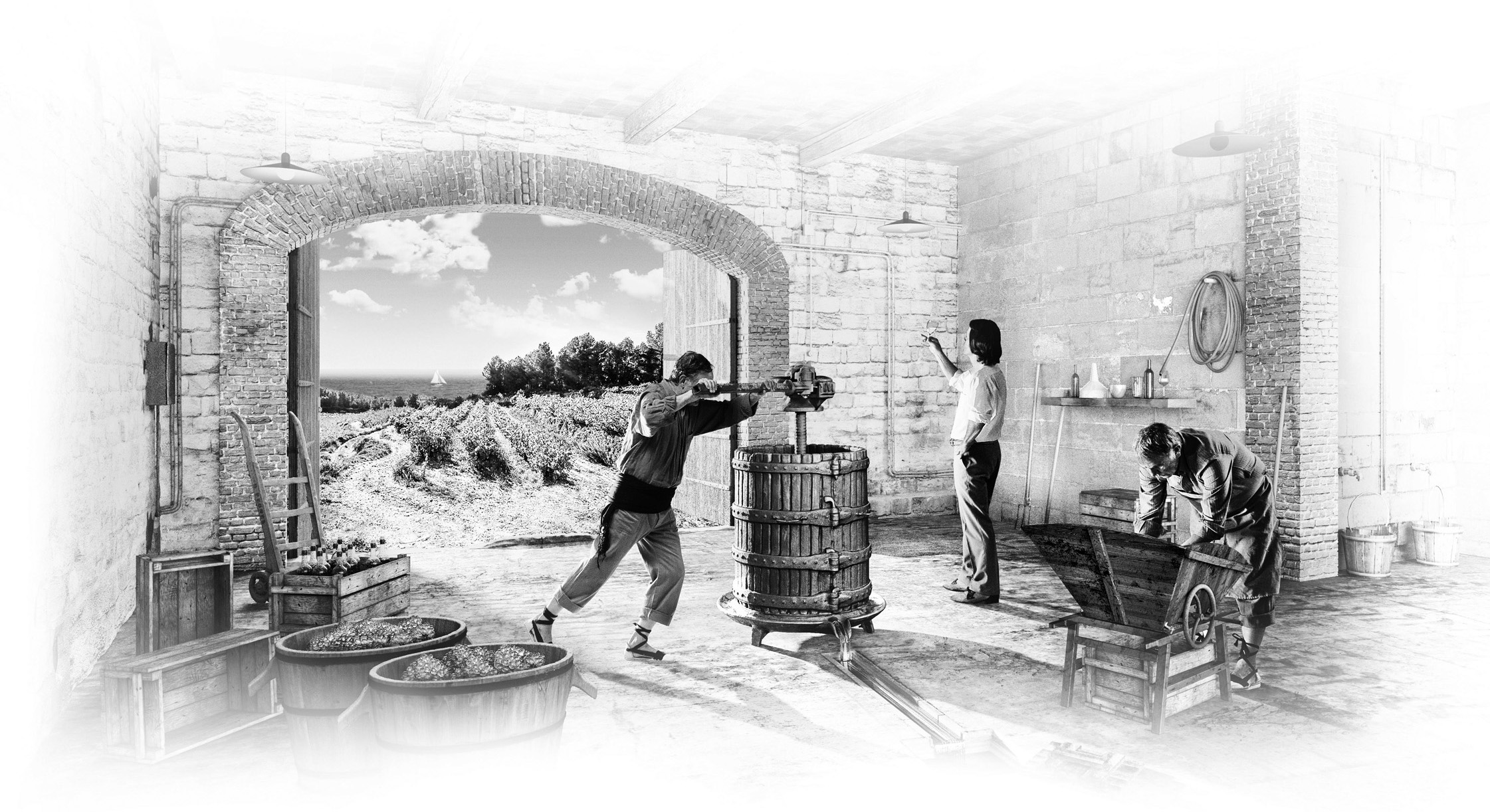Bodegas Torres renueva la imagen de su vino blanco Viña Sol