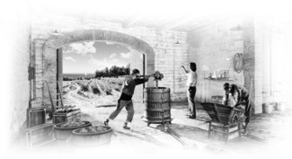 Bodegas Torres renueva la imagen de su vino blanco Viña Sol