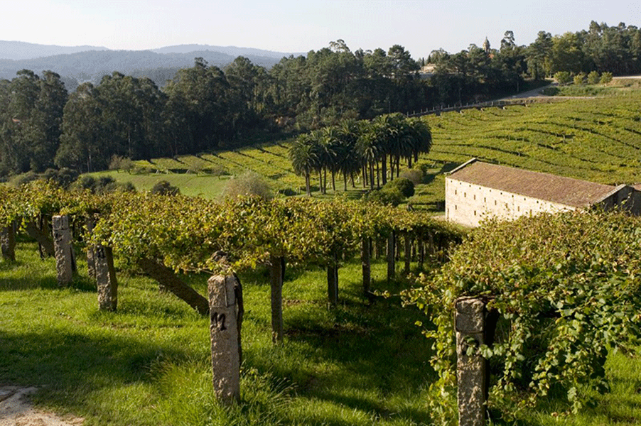 Pazo Baión: reportaje en la revista Decanter