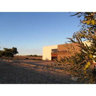 Exterior Bodegas Tavera