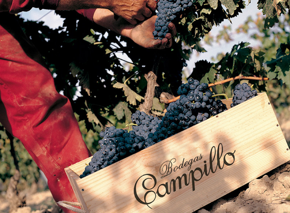 Encuentro de Foreros Verema en La Rioja, junio 2015