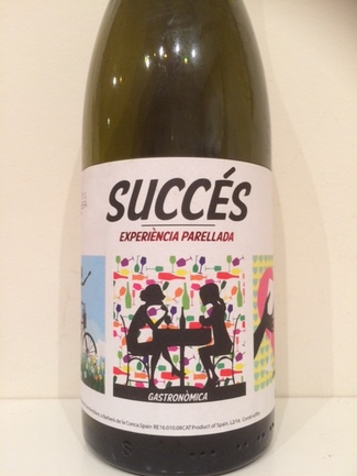 Succes Experiencia Parellada 2013